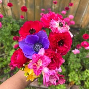 Meet your Posher, Evelyn